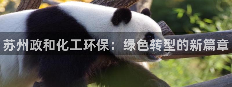 亿万先生客户端:苏州政和化工环保:绿色转型的新篇章